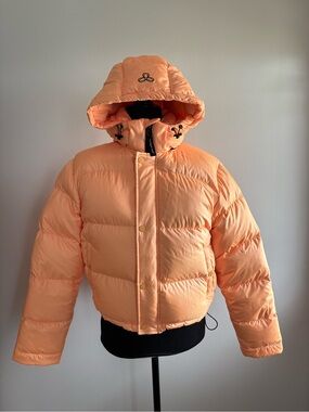 Limited Edition Aritzia THE SUPER PUFF